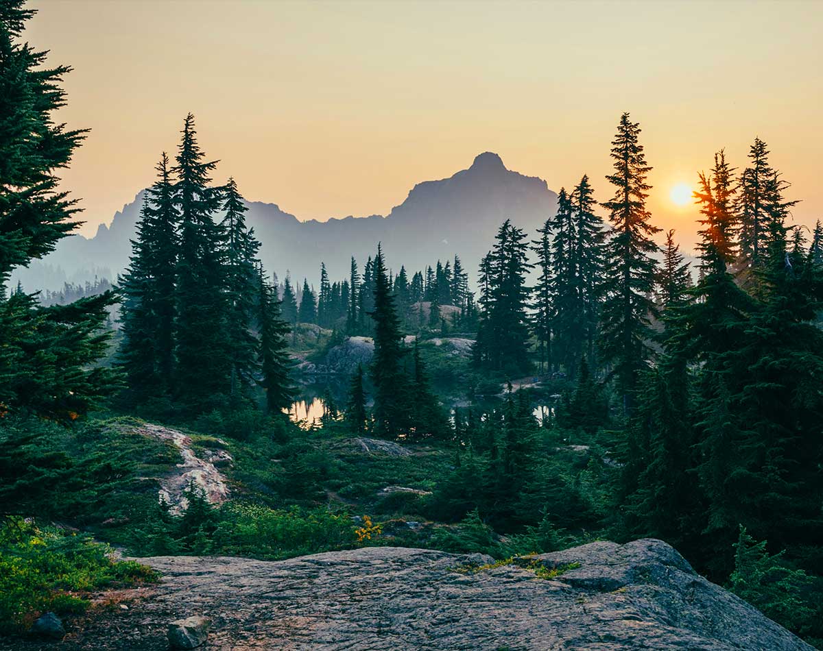A sustainable course for the future. mountain wilderness forest
