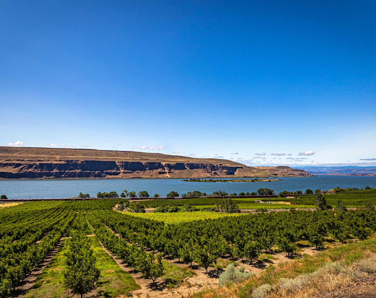 WA Economy orchard columbia gorge
